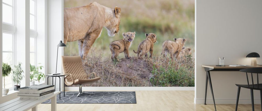 PHOTOWALL / Lion and Cubs (e320721)