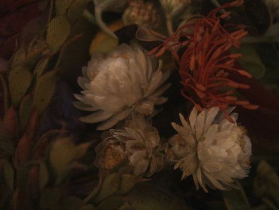PHOTOWALL / Botanical (e321563)