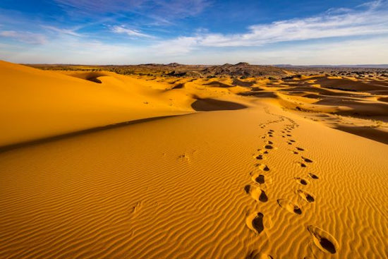 PHOTOWALL / Desert Dunes IIII (e321806)
