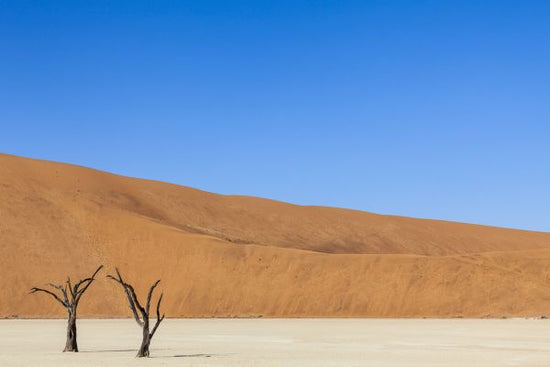 PHOTOWALL / Desert Dunes VI (e321811)
