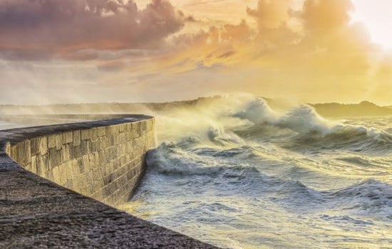 PHOTOWALL / Waves at Coastal Wall (e321645)