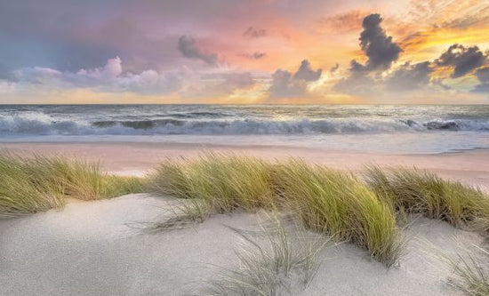 PHOTOWALL / Grass in Beach Sand (e321648)