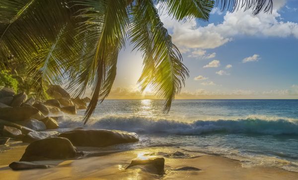PHOTOWALL / Beach Rocks Waves (e321650) | 輸入壁紙専門店 WALPA