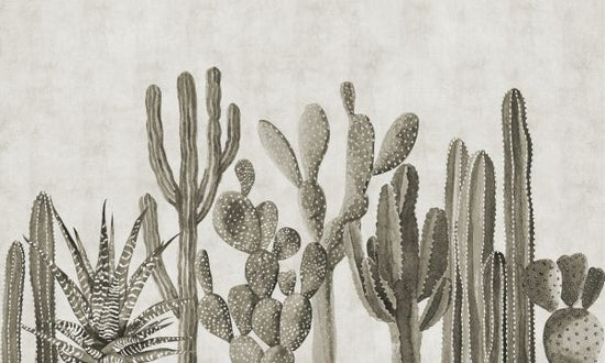 PHOTOWALL / Atacama Cactus - Sepia (e321673)