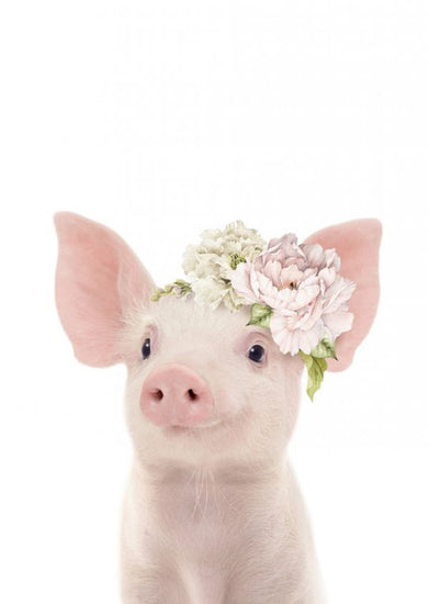 PHOTOWALL / Floral Piglet (e322230)