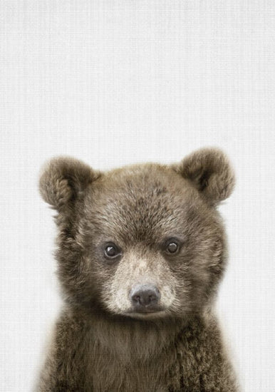 PHOTOWALL / Baby Bear (e322781)