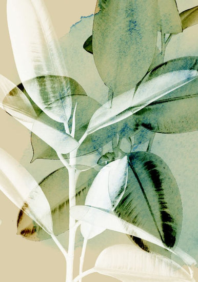 PHOTOWALL / Ficus Elastica (e322867)