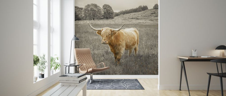 PHOTOWALL / Noble Highland Cow (e321134)