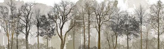 PHOTOWALL / Autum in the Woods (e323381)