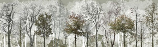 PHOTOWALL / Cool Summer in the Woods (e323382)