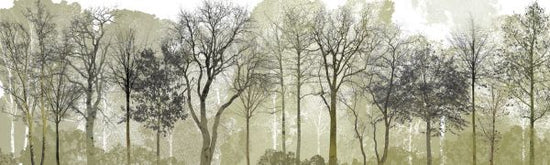 PHOTOWALL / Spring in the Woods (e323384)