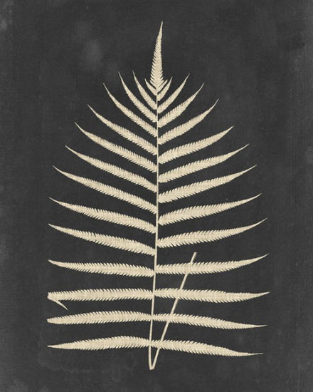 PHOTOWALL / Linen Fern (e320390)