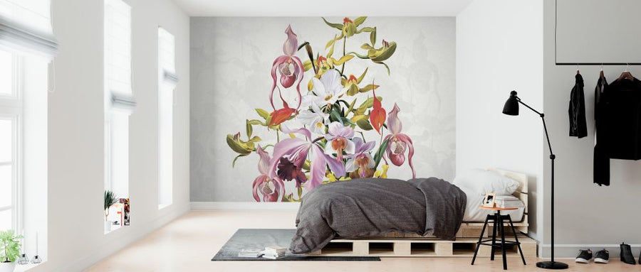 PHOTOWALL / Blooming Orchids (e322839)