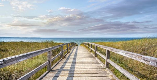 PHOTOWALL / Boardwalk (e324185)