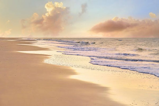 PHOTOWALL / Beach in Golden Hour Light (e321600)