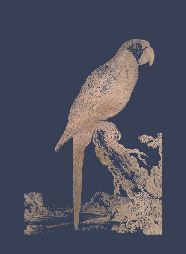 PHOTOWALL / Rose Gold Foil Parrot I on Imperial Blue (e321420)