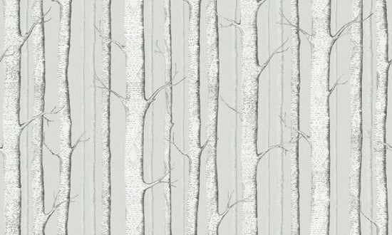 PHOTOWALL / Birch Trees - Soft Green (e323696)
