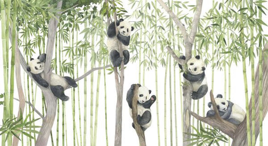 PHOTOWALL / Panda Friends - Bright (e323702)