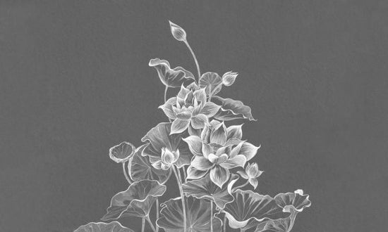 PHOTOWALL / Lotus - Dark (e324823)