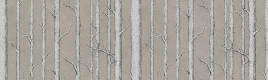 PHOTOWALL / Tree Trunk V (e324829)