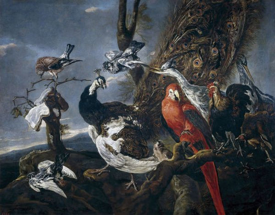 PHOTOWALL / Bird Concert - Infographics (e322093)