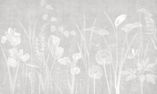 PHOTOWALL / Dandelion Field - Ash Bright (e325243)
