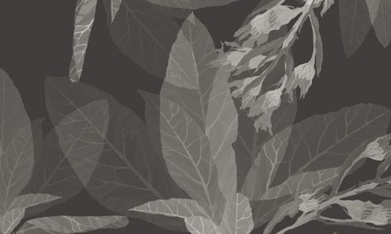 PHOTOWALL / Leaf Glance - Dark - Mary Wang (e325262)