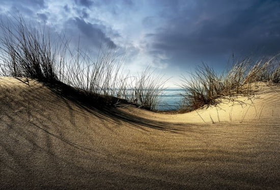 PHOTOWALL / Dunes (e323629)