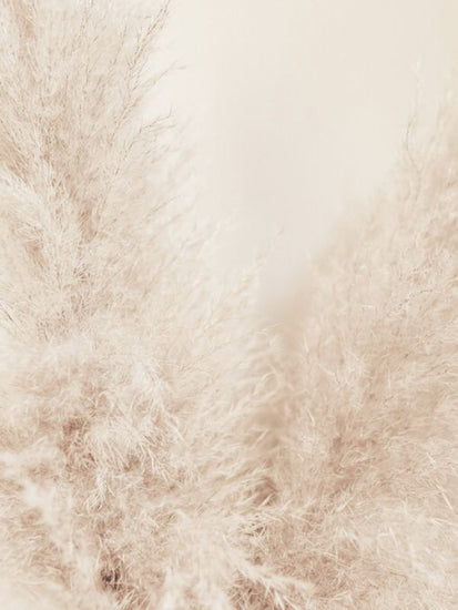 PHOTOWALL / Muted Reeds (e323480)