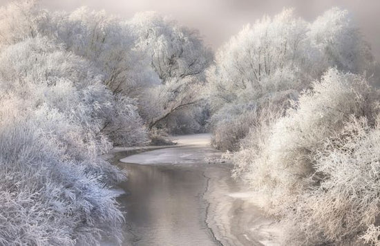 PHOTOWALL / Winter Song (e323662)