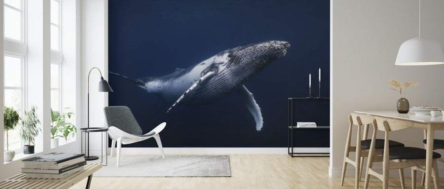 PHOTOWALL / Humpback Whale in Blue (e323674)
