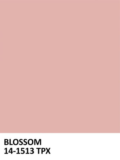 PHOTOWALL / Paint Blossom (e323495)