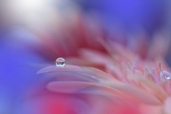 PHOTOWALL / Colorful Explosion (e323747)