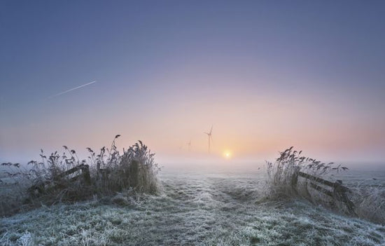 PHOTOWALL / Frosty Morning (e323811)