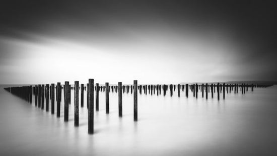 PHOTOWALL / Formation - Study (e323916)