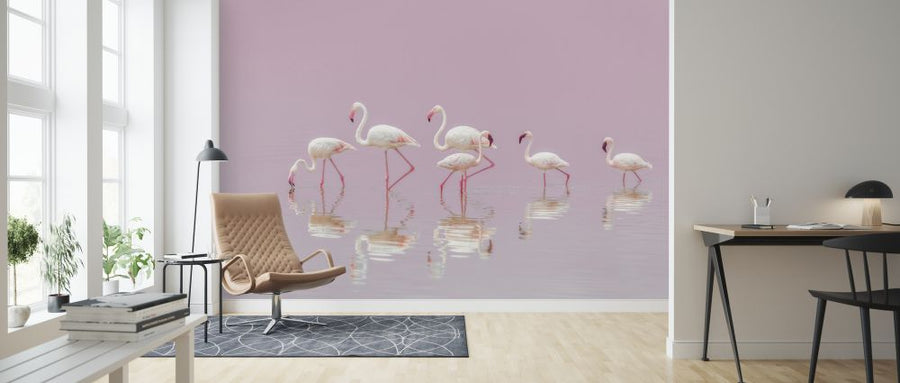 PHOTOWALL / Flamingos (e323954)