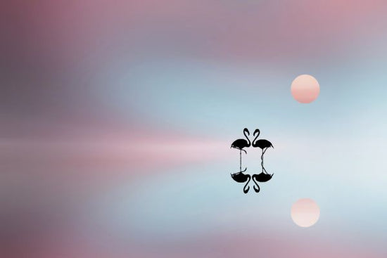 PHOTOWALL / Flamingo (e323974)