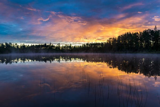PHOTOWALL / Summer Lake 2 (e325098)