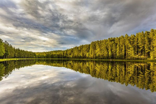 PHOTOWALL / Summer Lake 5 (e325101)