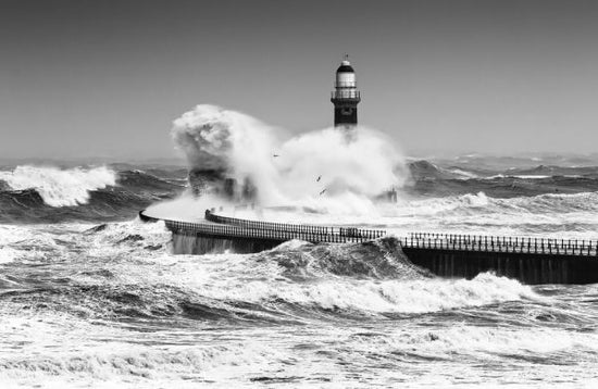 PHOTOWALL / Power of the Sea (e324431)