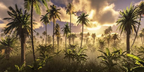 PHOTOWALL / Jungle Morning (e326017)