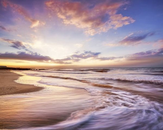 PHOTOWALL / Morning Blush (e326019)