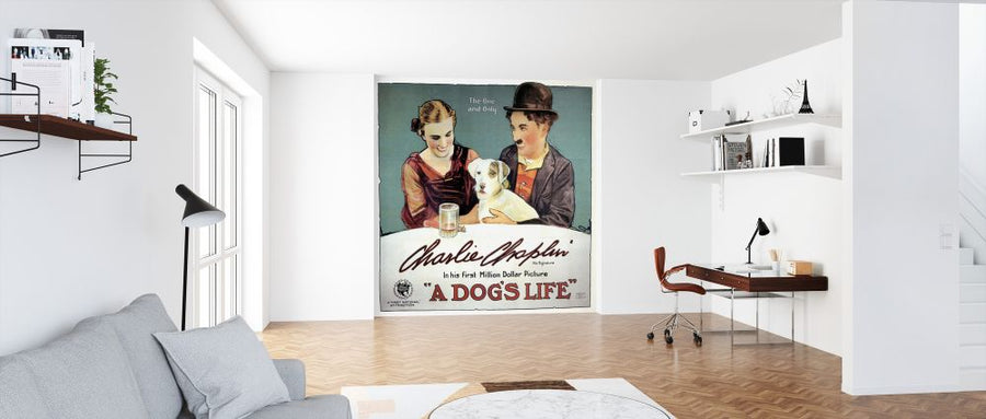 PHOTOWALL / Dogs Life - Infographics (e322374)