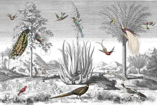 PHOTOWALL / Birds Symphony (e326663)