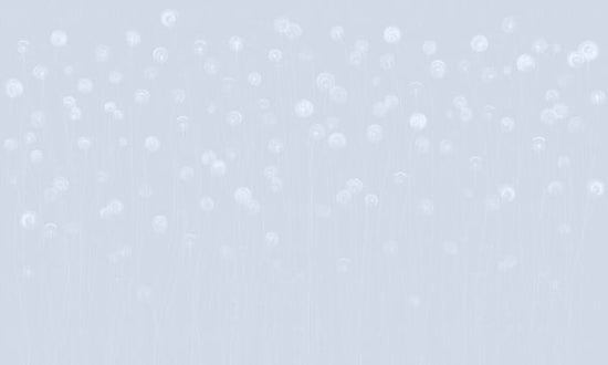 PHOTOWALL / Dandelion Field - Soft Blue (e326666)