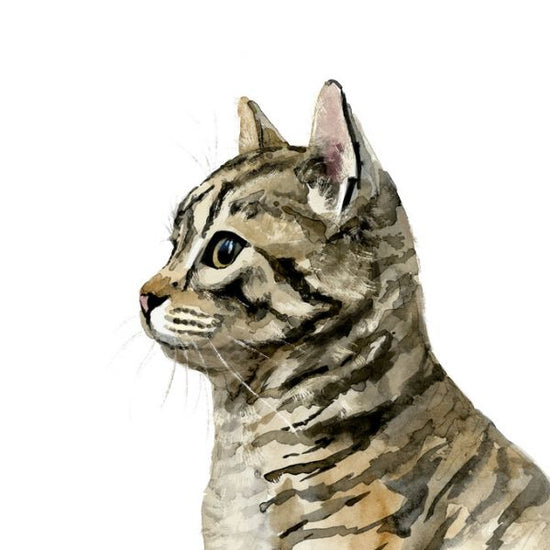 PHOTOWALL / Pet Profile II (e324900)