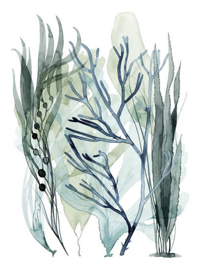 PHOTOWALL / Sea Leaves (e324926)