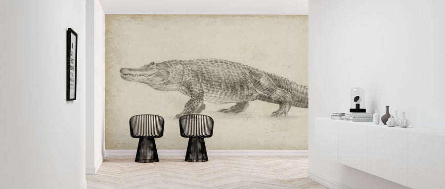 PHOTOWALL / Alligator Sketch (e324583)
