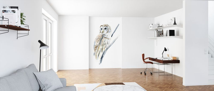 PHOTOWALL / Arctic Owl (e324621)