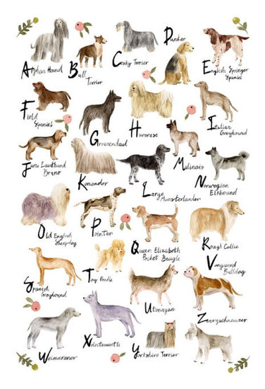 PHOTOWALL / Dog Alphabet (e324706)